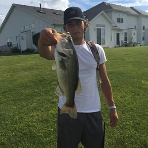 Meet your Posher, Wyatt